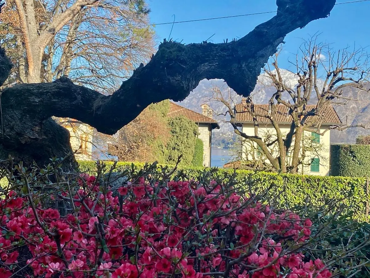 Villa Magnolia - Lake Como Lenno Apartamento
